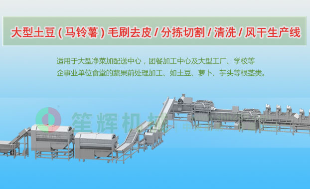 化州连续式土豆去皮清洗切割风干生产线